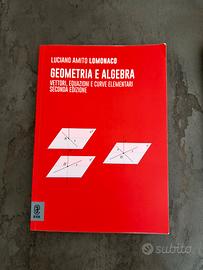 libro di geometria e algebra
