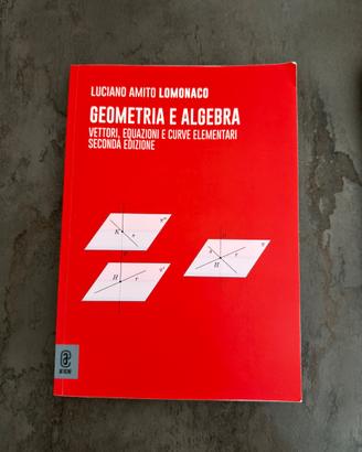 libro di geometria e algebra