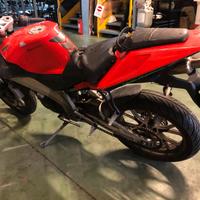Derbi gpr - ricambi