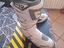 Immagine 3