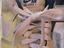 Immagine 6