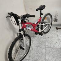 Mountain bike 