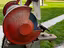 Immagine 5