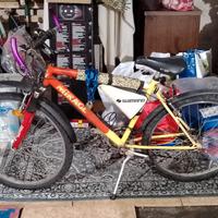 mountain bike uomo/ragazzo 