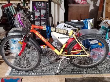 mountain bike uomo/ragazzo 