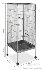 Pappagalli Calopsite