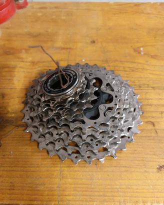 Cassetta Shimano 12 V