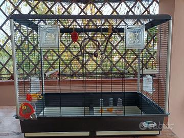 Gabbia voliera Ferplast per uccelli