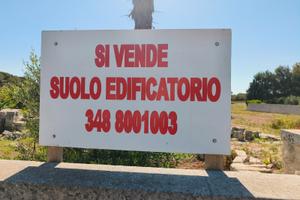 Terreno edificabile
