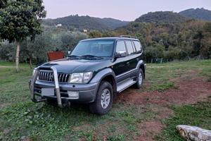 Toyota land cruiser