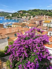 Appartamento Porto Azzurro [Cod. rif 3340152VRG]