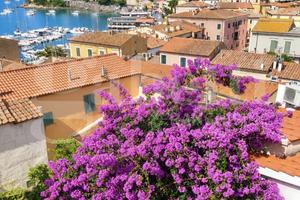 Appartamento Porto Azzurro [Cod. rif 3340152VRG]