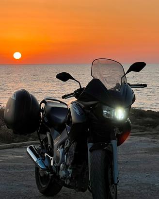 Yamaha Tdm 850 900 2001