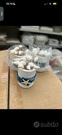 3 porta stuzzicadenti simil ceramica tema marino