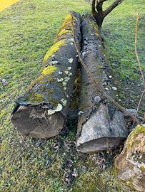 Trochi di legno ciliegio