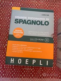 Dizionario spagnolo
