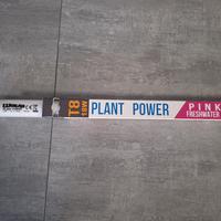 Tubo neon acquario rosa