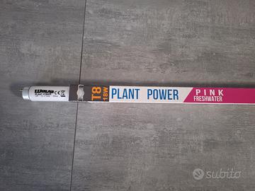 Tubo neon acquario rosa