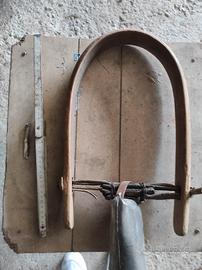 campanacci con collare