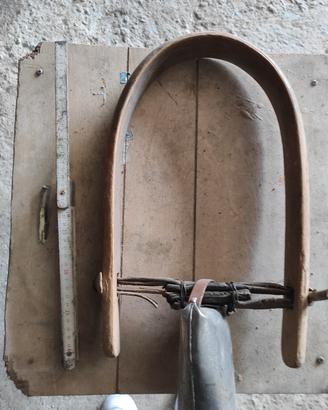 campanacci con collare