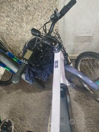 Bicicleta elettrica