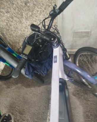 Bicicleta elettrica