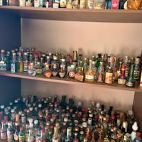 Bottiglie mignon da collezione