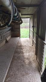 mungitrice della marchia di marchio