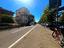 Immagine 28