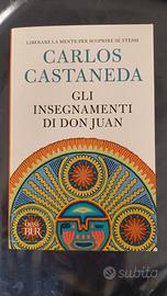 Libro: Gli insegnamenti di Don Juan