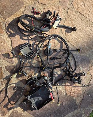 Impianto elettrico Multistrada 1000DS