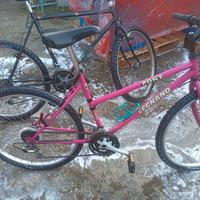 due mountabike a 30 euro 