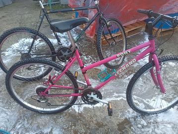 due mountabike a 30 euro 