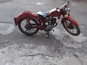 Benelli leoncino 125