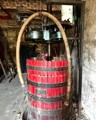 Torchio