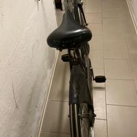 Bici da uomo vintage