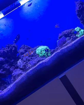 ACQUARIO MARINO 180lnetti+Mobile e Altro vedi foto