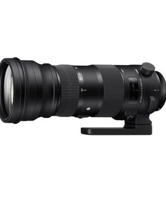 Sigma 150-600mm f/5-6.3 DG OS HSM C x Canon EF
