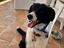 Immagine 2