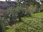Immagine 29