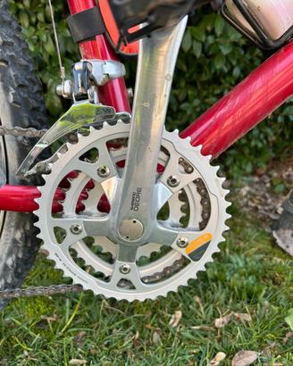 Montanbike kastle