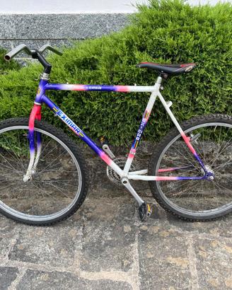 BICLETTA MOUNTAIN BIKE EXIMAR CON RUOTE