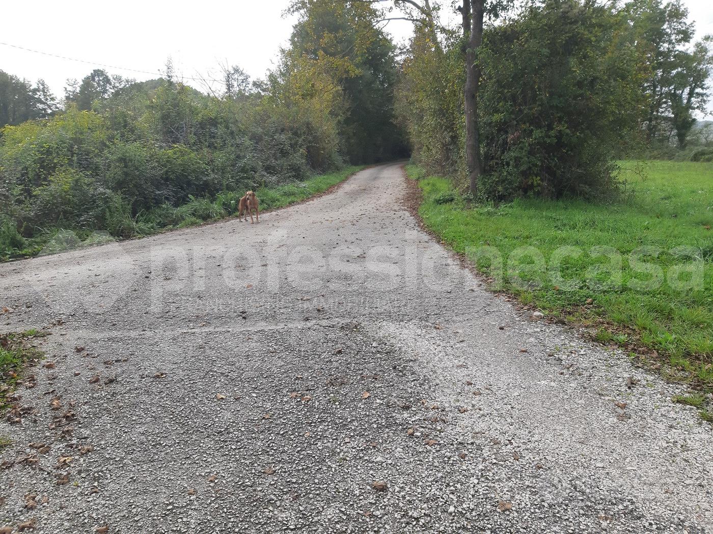 Rustico/Casale/Corte San Pietro Avellana [3824VRG] - Vista 2