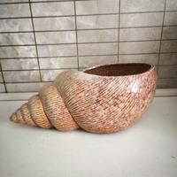 Vaso/Svuotatasche in ceramica a forma di conchigli