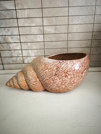 Vaso/Svuotatasche in ceramica a forma di conchigli