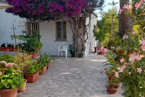 "  Casa Bouganville   "  La Caletta 