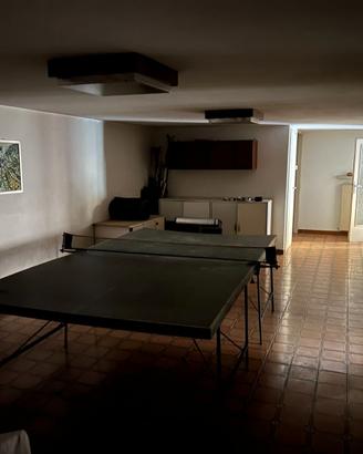 Tavolo da ping pong