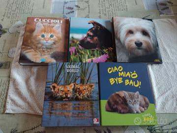 Raccoglitori A4 Favorit e Disney