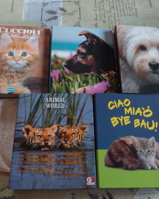 Raccoglitori A4 Favorit e Disney