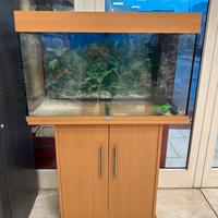 ACQUARIO